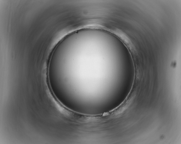 X0000102351430200808011153