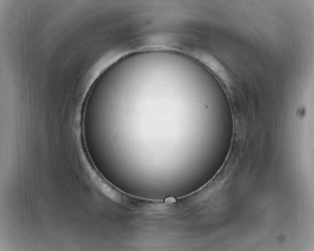 X0000102351431200808011153