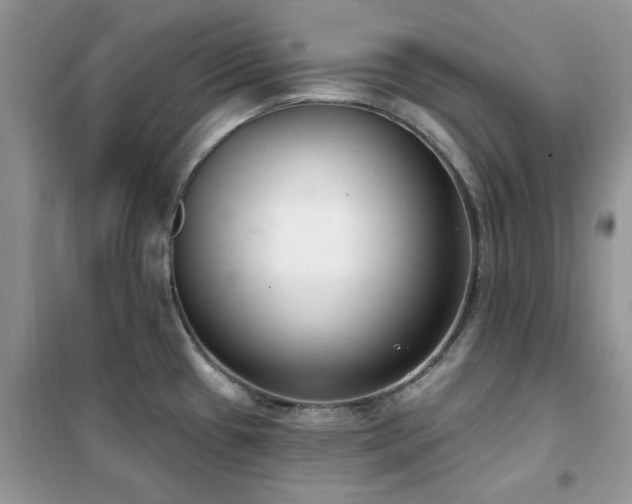 X0000102351433200808011153