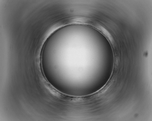 X0000102351435200808011153