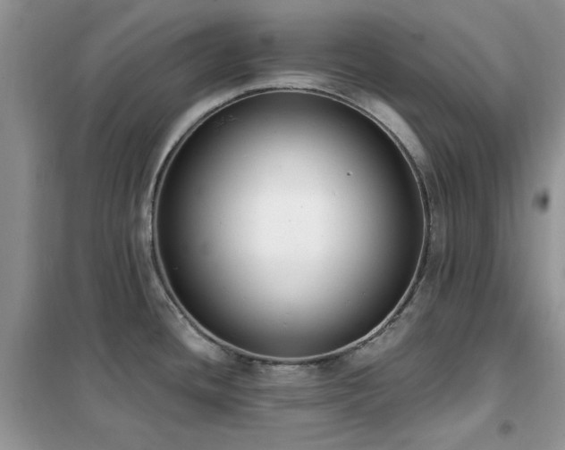 X0000102351436200808011153