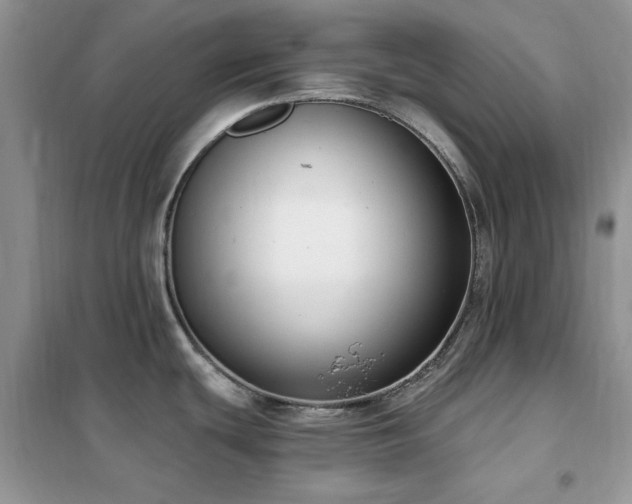 X0000102351439200808011153