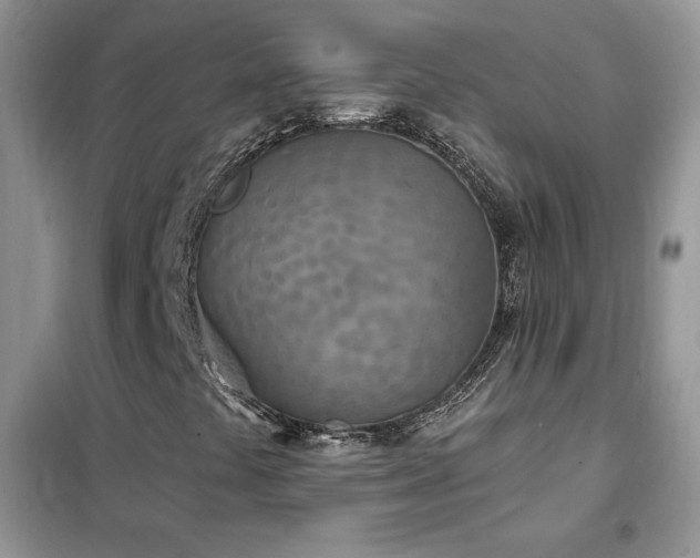 X0000102351441200808011153