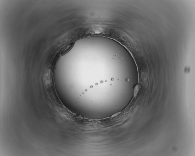 X0000102351442200808011153