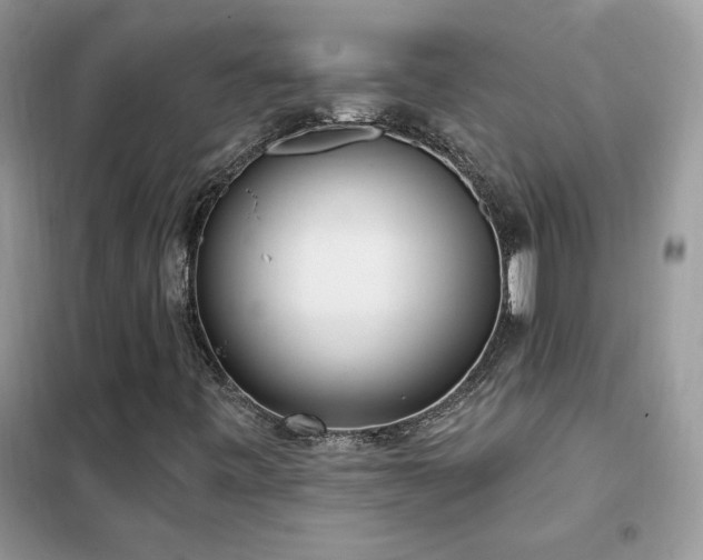 X0000102351443200808011153