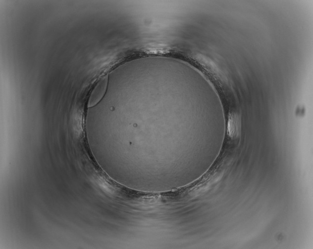 X0000102351444200808011153