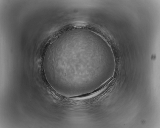 X0000102351445200808011153