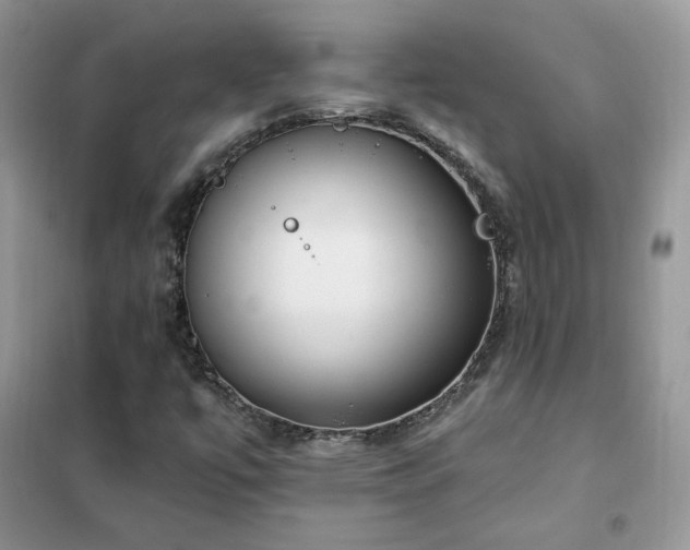 X0000102351447200808011153