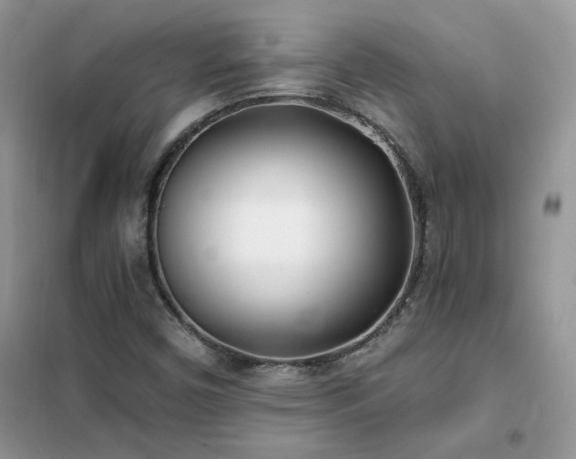 X0000102351450200808011153