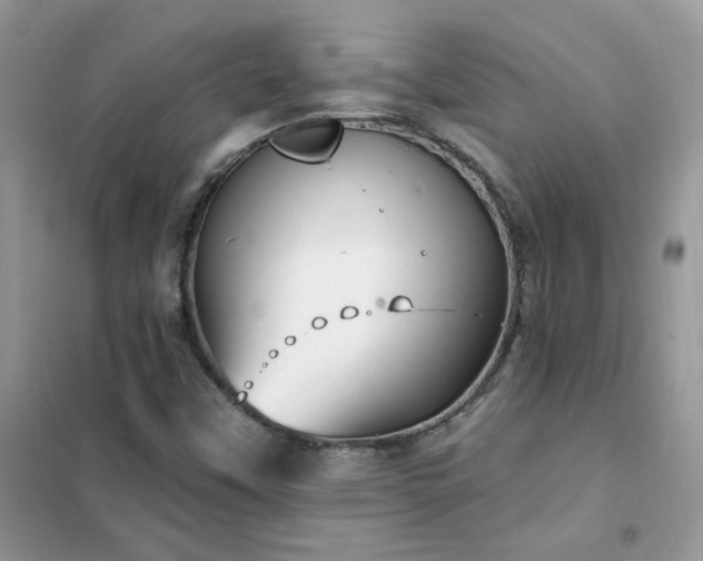 X0000102351451200808011153