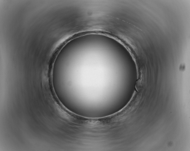 X0000102351452200808011153