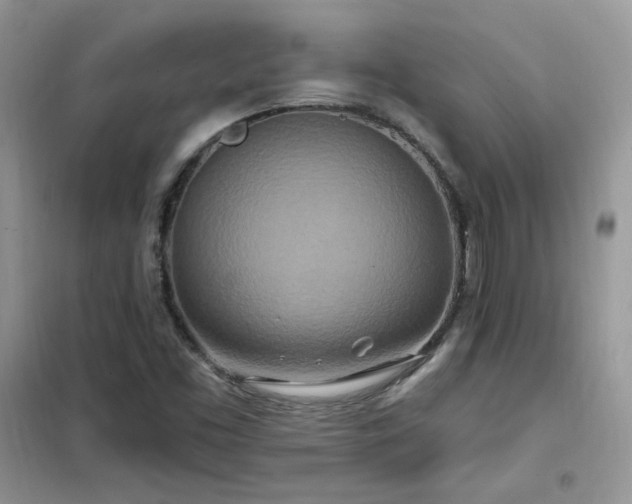 X0000102351453200808011153