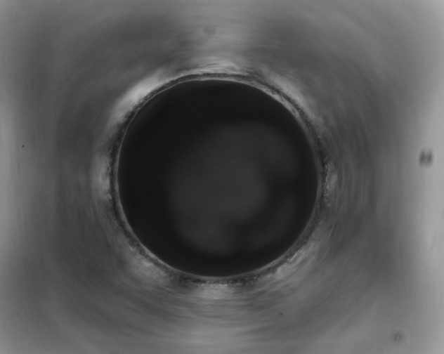 X0000102351455200808011153