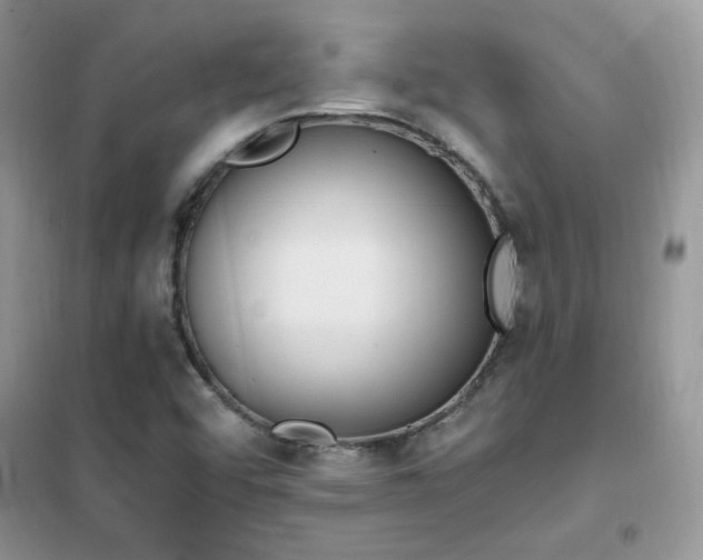 X0000102351456200808011153