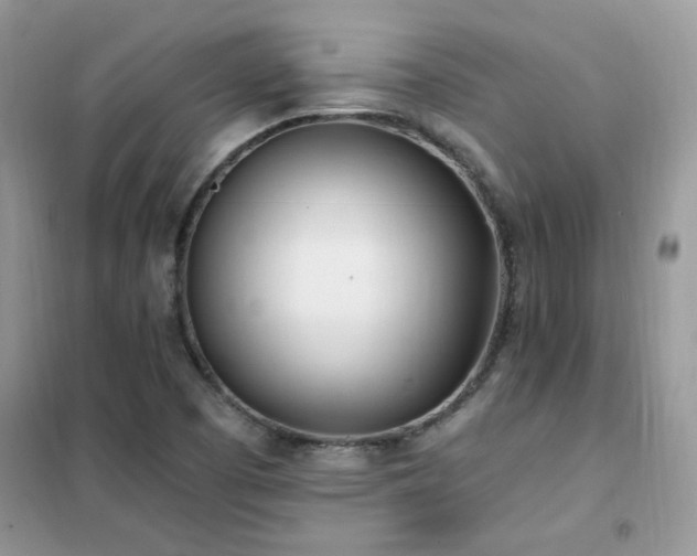 X0000102351457200808011153