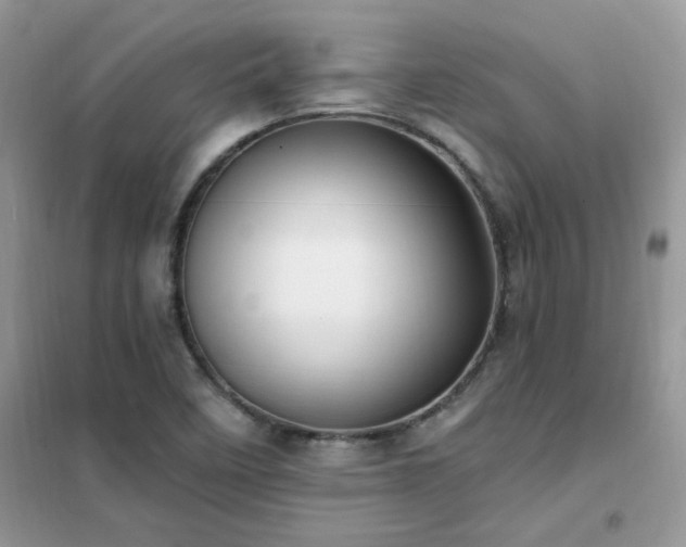 X0000102351458200808011153