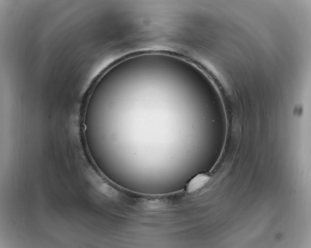 X0000102351460200808011153