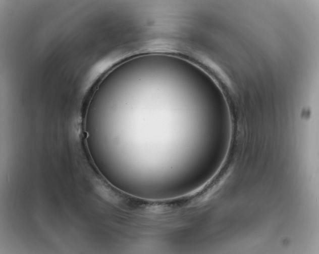 X0000102351461200808011153