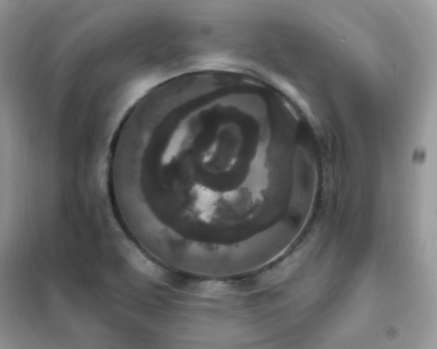 X0000102351463200808011152