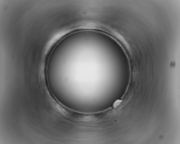 X0000102351464200808011152