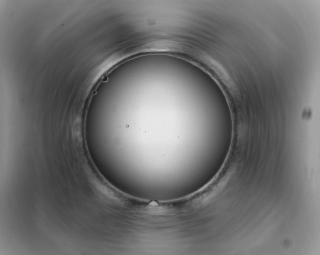 X0000102351465200808011152