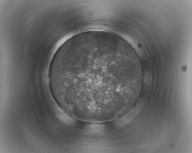 X0000102351466200808011152