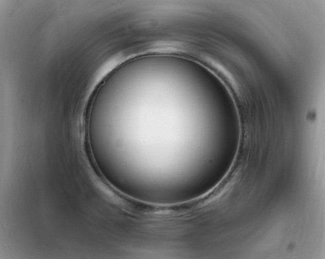 X0000102351467200808011152