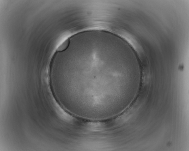 X0000102351468200808011152