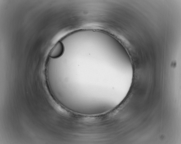 X0000102351470200808011152