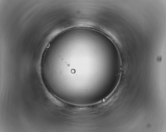 X0000102351471200808011152