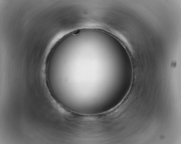 X0000102351472200808011152