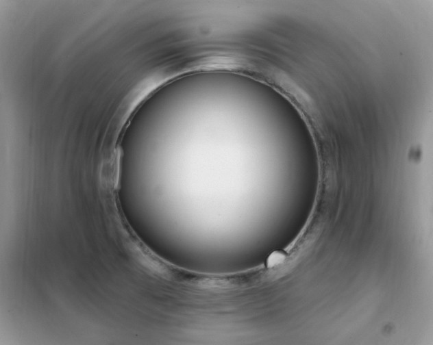 X0000102351473200808011152