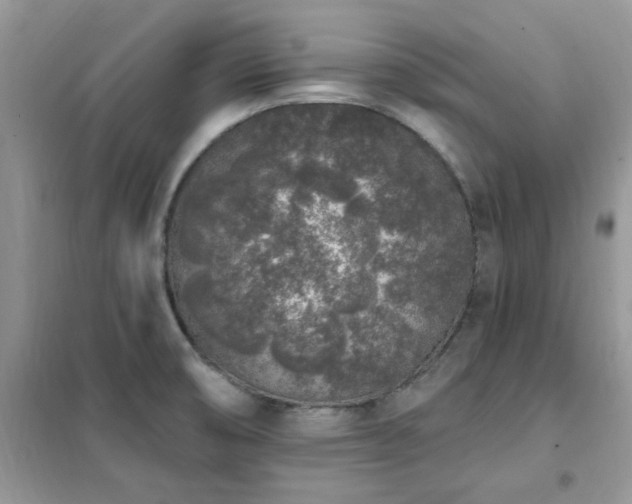 X0000102351474200808011152