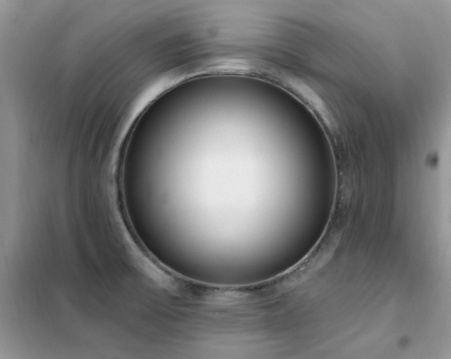 X0000102351475200808011152