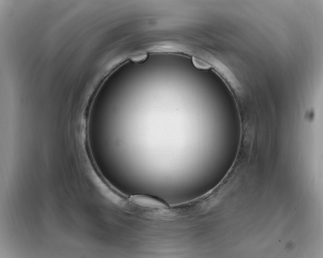 X0000102351476200808011152