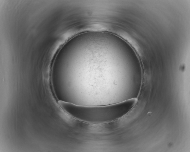 X0000102351477200808011152