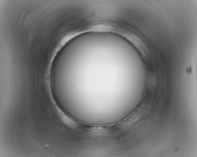 X0000102351478200808011152