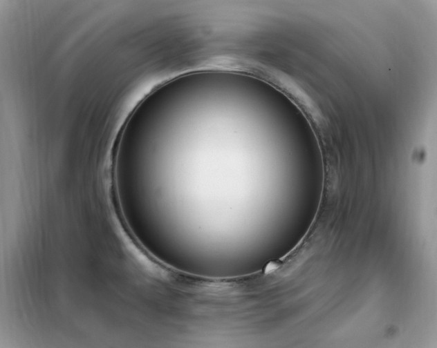 X0000102351479200808011152