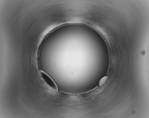 X0000102351480200808011152