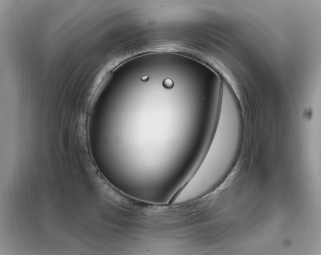 X0000102351481200808011152