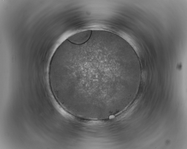 X0000102351482200808011152