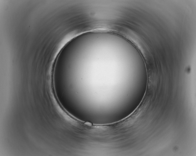 X0000102351483200808011152