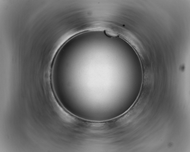 X0000102351484200808011152