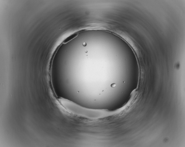 X0000102351485200808011152