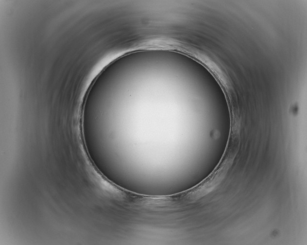 X0000102351486200808011152