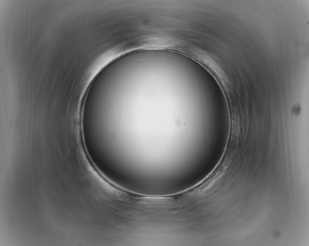 X0000102351487200808011152