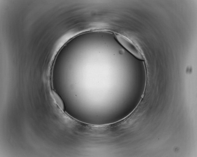 X0000102351488200808011152