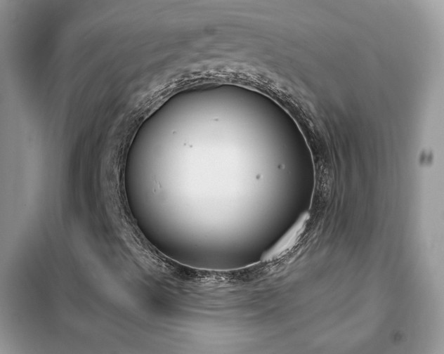 X0000102351489200808011151