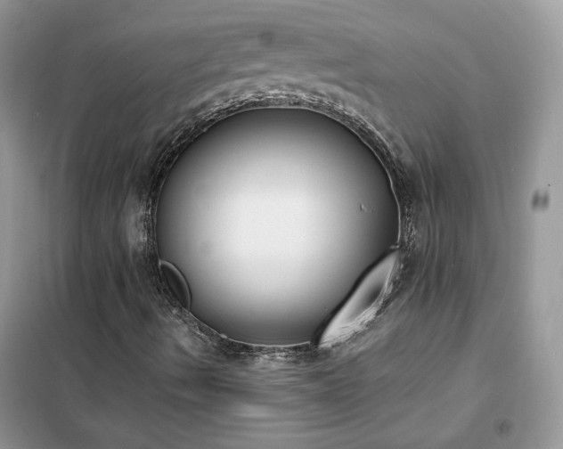 X0000102351490200808011151