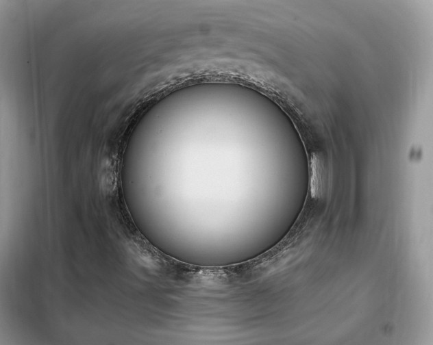 X0000102351491200808011151